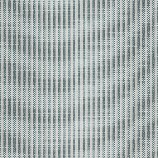 Women's Oxford Classic Collar Dress